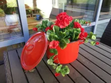 Pöydällä on kukka